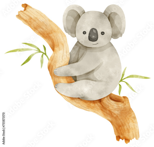 Canvas Print koala on eucalyptus tree watercolor illustration