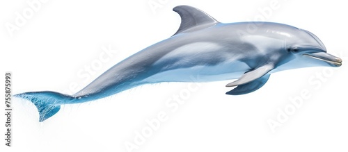 An Electric blue Common bottlenose dolphin is gracefully jumping in the air, showcasing its sleek Fin and fluid movements against a white background