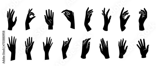 Schilderij op canvas Vector set of silhouettes of human hands depicting various gestures, black on a white background