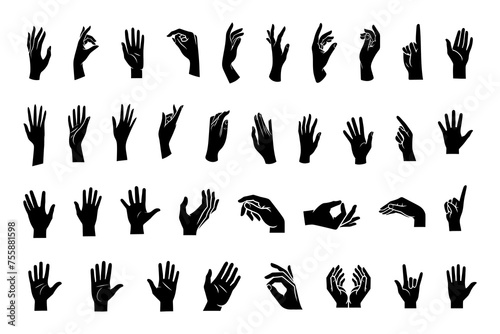 Vector set of silhouettes of human hands depicting various gestures, black on a white background. photo