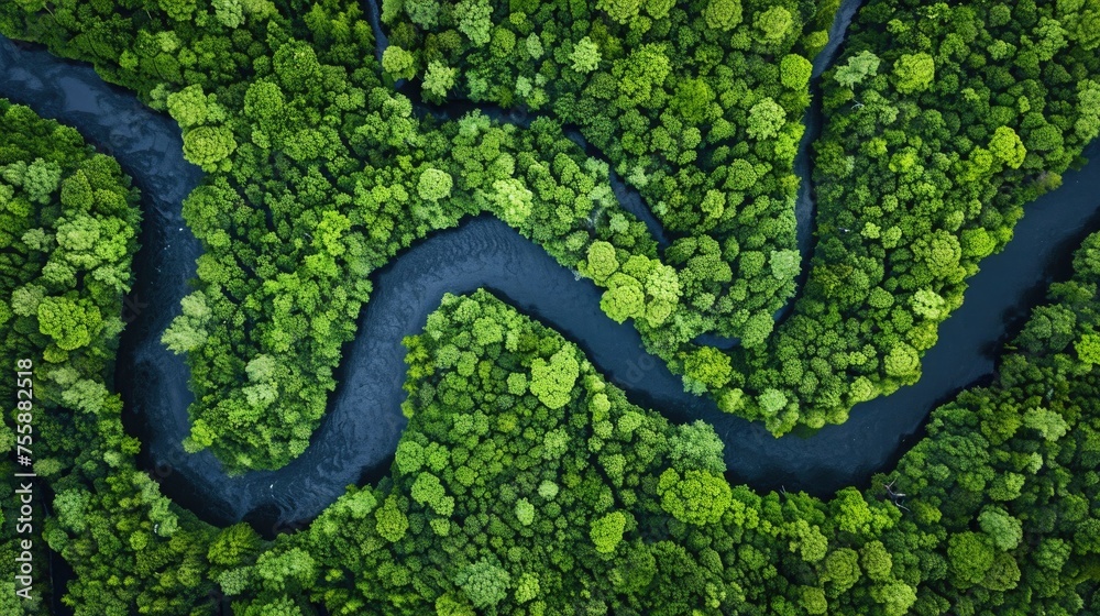 Aerial view of a winding river snaking through a vibrant green forest, showcasing nature's intricate patterns and lush beauty. Aerial view of a winding river snaking through a vibrant green forest, showcasing nature's intricate patterns and lush beauty.