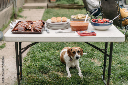Fourth of July Barbeque 1