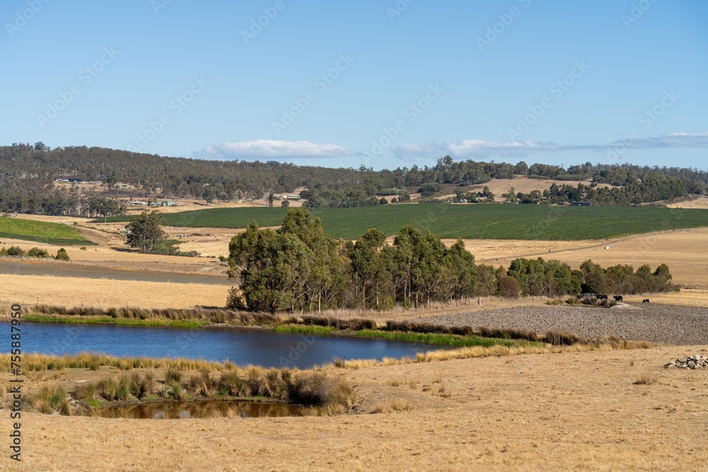 Water dam on a farm in a field surrounded by trees and green grass  in australia