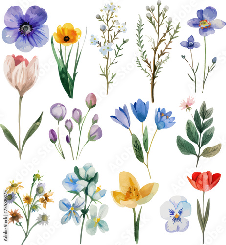 Set of flower  floral design elements  minimal object isolate illustration vector. 