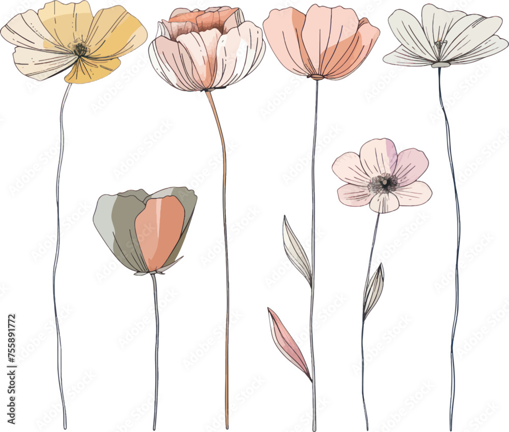 Set of flower, floral design elements, minimal object isolate illustration vector.	