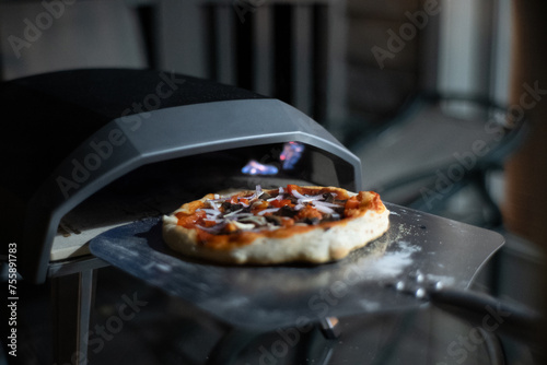 Pizza Oven with a Pizza 2