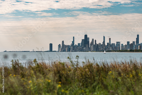 Chicago Skyline from the North 1