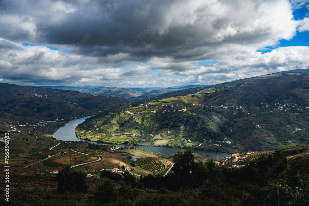 Beautiful Wine Country Scenery 3