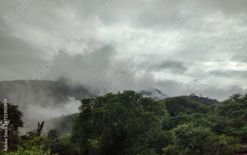 vegetation foliage flowers trees mountain hill valley rain cloud cloudy sky fire path stone rock texture pattern ivy grass vegetation garden gate entrance exit house roof chimney © FTeixeira_aRT