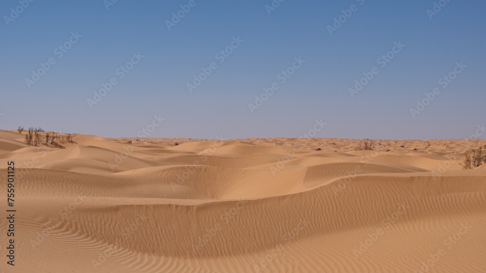 Rolling sand dunes in the Sahara Desert, outside of Douz, Tunisia Rolling sand dunes in the Sahara Desert, outside of Douz, Tunisia