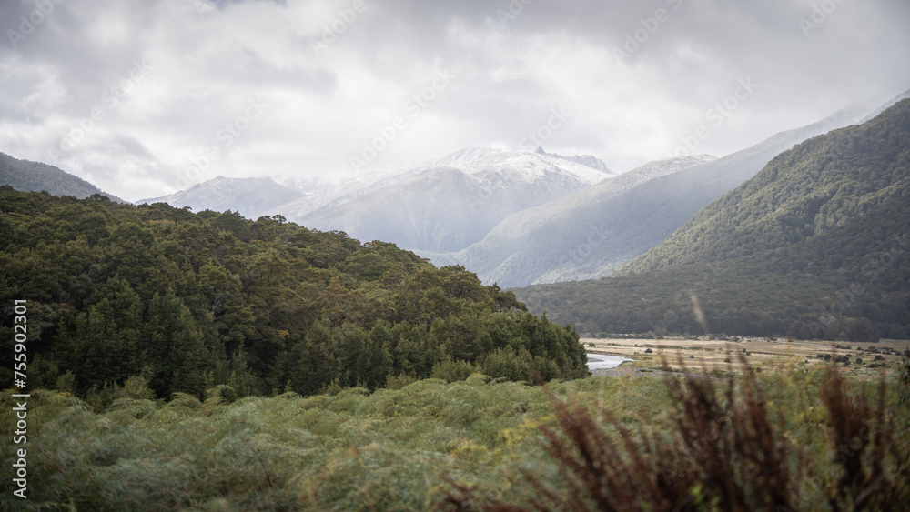 Alpine valley with dense forest and big snowy mountains in backdrop, New Zealand