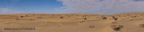 Panorama of the Sahara Desert, outside of Douz, Tunisia
