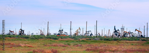 Oil Pump Jacks Amidst Super Bloom: 4K Ultra HD Image of California Fields