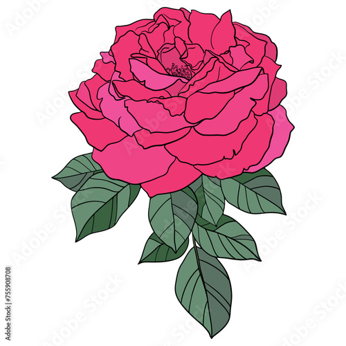 Red Bright Vector Rose