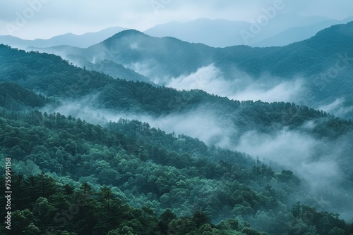 picture of beautiful mountains in a fog.