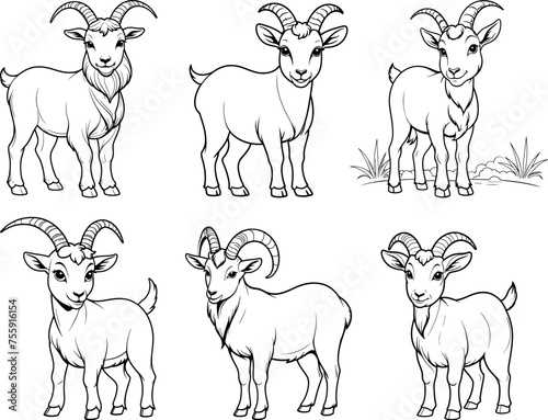 Saanen Goat hand drawn coloring page and outline vector design © Golokapati