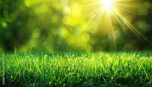Sunbeams pierce through the fresh morning air  casting light on dew-speckled grass  evoking a new day s serene beginning.