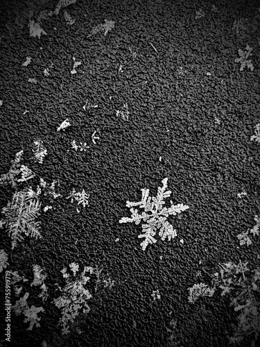 Macro shot of snowflakes on stone