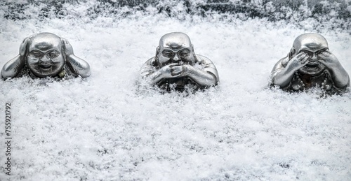 'Hear No Evil, Speak No Evil, See No Evil' In Snow