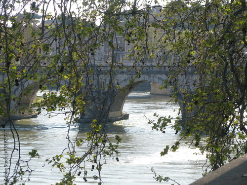 Tree branches hanging in front of bridge over river