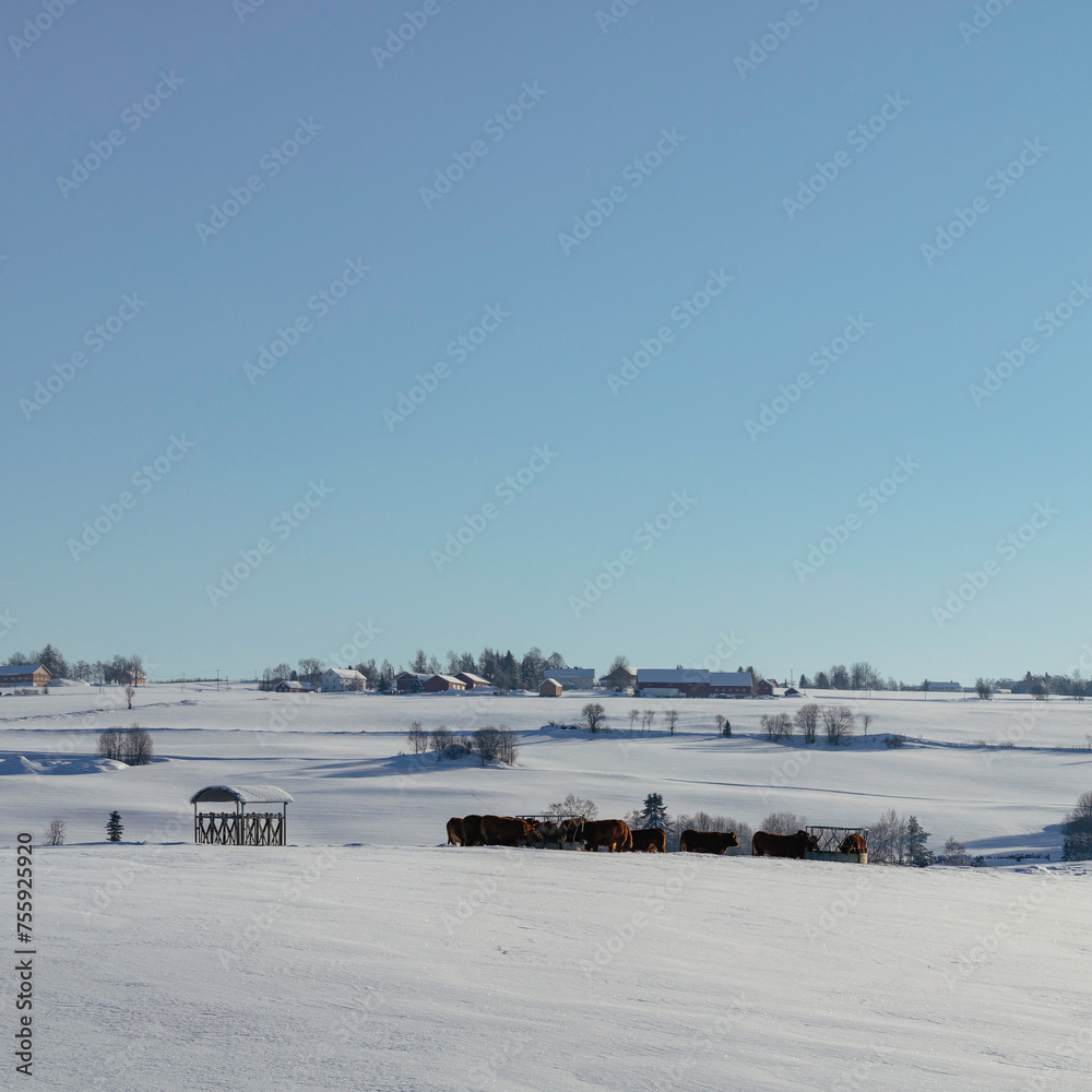 Winter landscape of rural Toten, Norway.