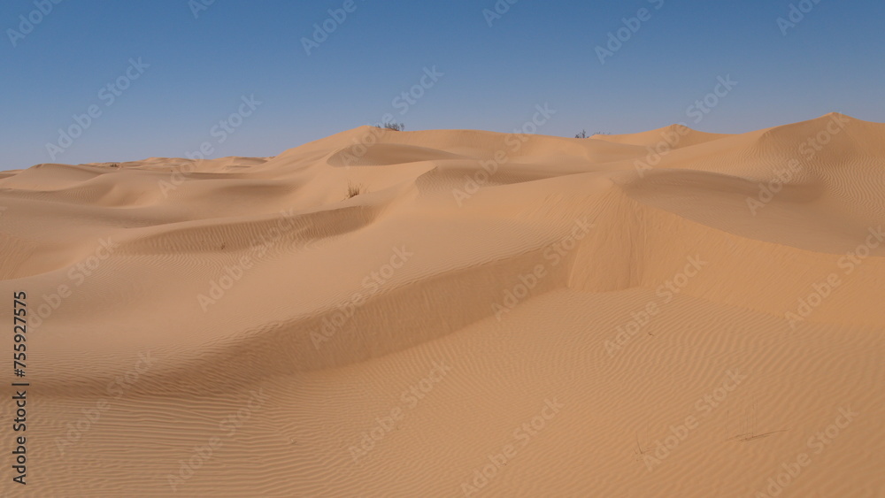 Rolling sand dunes in the Sahara Desert, outside of Douz, Tunisia