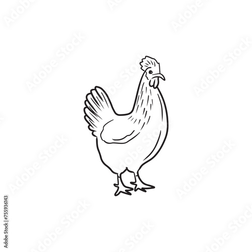Beautiful realistic chicken as a concept of domestic farm animal. Hen for eggs laying, broiler white meat in black isolated on white background. Hand drawn vector sketch illustration in doodle style.
