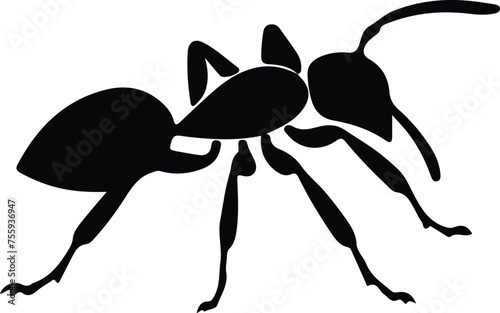 ant silhouette