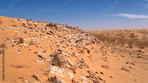 Fototapeta Naklejka Na Ścianę i Meble -  Rocky layer on a dune in the Sahara Desert, outside of Douz, Tunisia