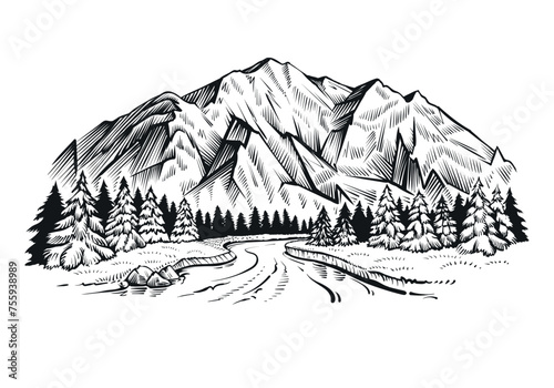Mountain river with fir trees forest, landscape vector sketch.