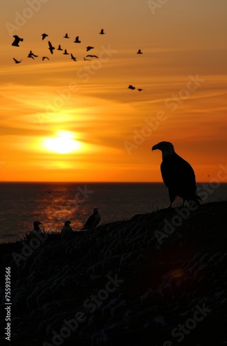 A serene moment is captured as an eagle is silhouetted against a golden sunset, with a flock of birds flying in the background, evoking a sense of freedom and natural beauty.
