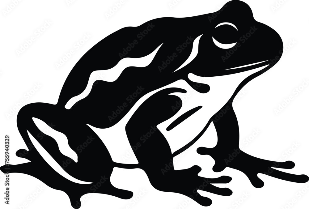 Fototapeta premium amphibian silhouette