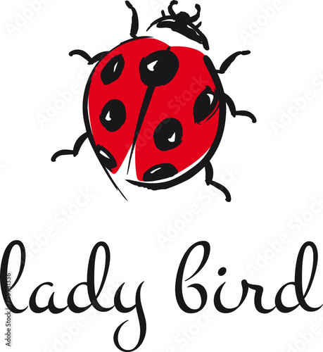 Lady bird, love bug, logo, icon