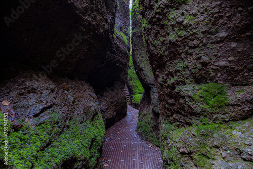 Extrem enge mit Moos bewachsene Felschenschlucht photo