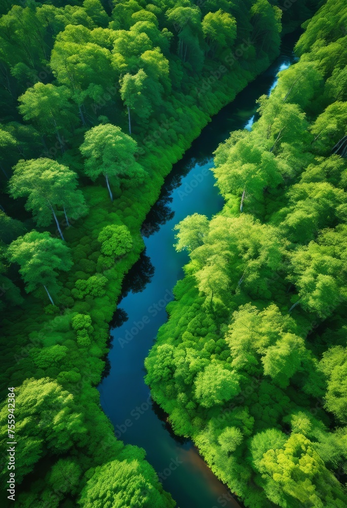 illustration, aerial view lush forest dense canopy rippling rivers cutting through verdant landscape, trees, greenery, nature, environment illustration, aerial view lush forest dense canopy rippling rivers cutting through verdant landscape, trees, greenery, nature, environment