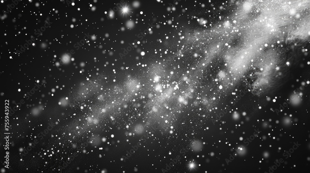 Obraz premium Snowfall in monochrome, suitable for winter concepts.