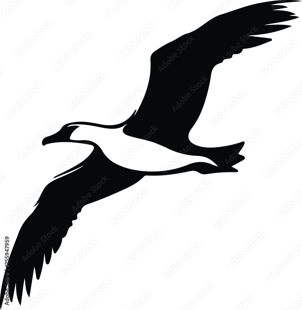 albatross silhouette albatross silhouette