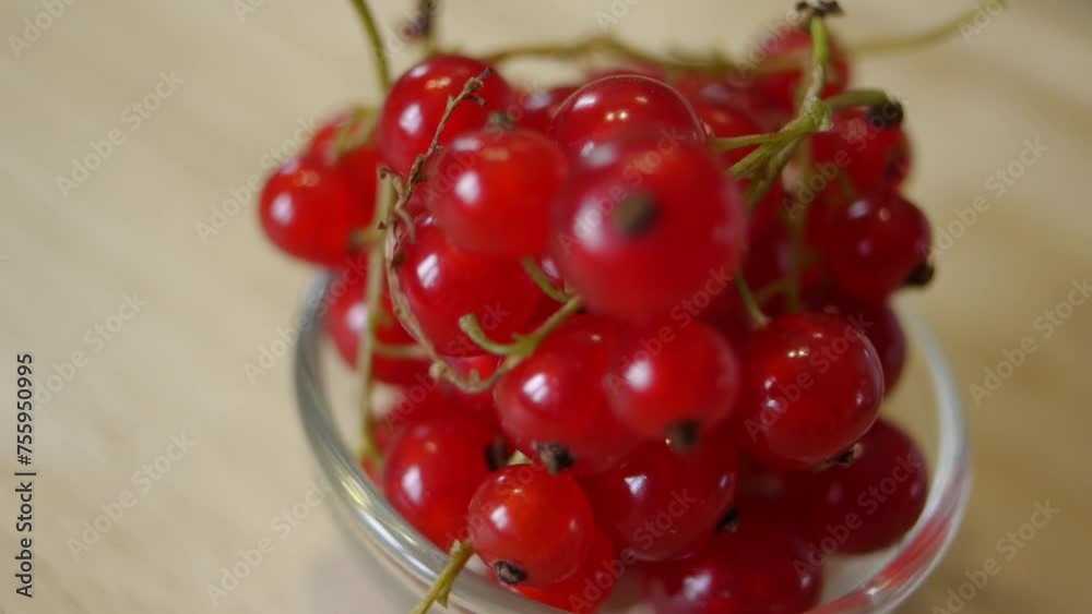 Seamless circular motion: red currant Seamless circular motion: red currant