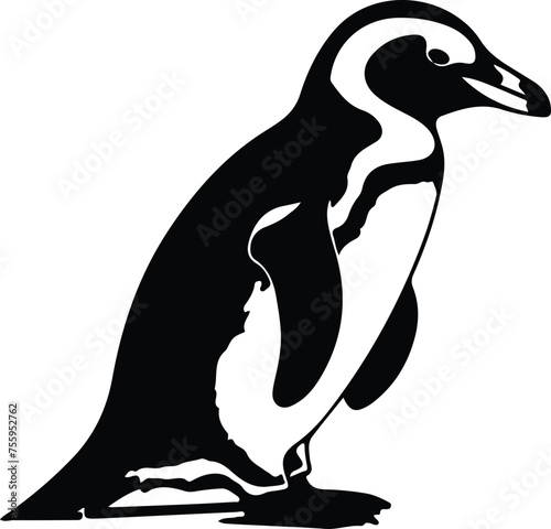 Africanpenguin silhouette