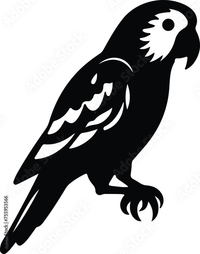 Africangrayparrot silhouette photo