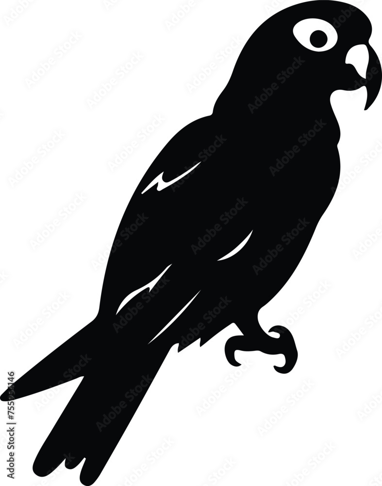 Obraz premium Africangrayparrot silhouette