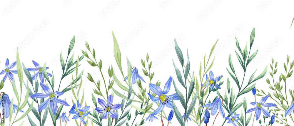 Scilla flowers and wild herbs. Spring meadow, garden plants. Watercolor horizontal seamless banner. Copy space for text. Illustration for the design of birthday, wedding postcards, invitations Scilla flowers and wild herbs. Spring meadow, garden plants. Watercolor horizontal seamless banner. Copy space for text. Illustration for the design of birthday, wedding postcards, invitations