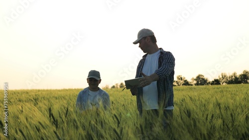 summer season  professional farmer son child kid working together wheat field  developing family business by growing plantation crops  farmer father son boy child kid walking wheat fields taking care