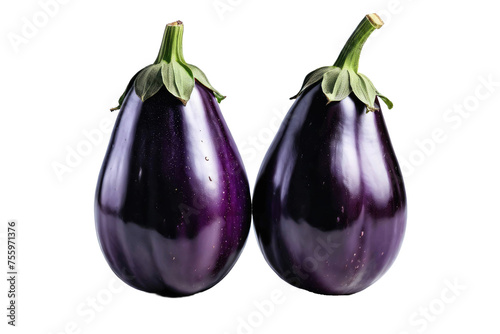 Two eggplants, full body, high-resolution stock photo, isolated, white background, showcasing texture, natural light, vibrant purple skin, subtle reflections, clear shadow, depth of field, ultra clear