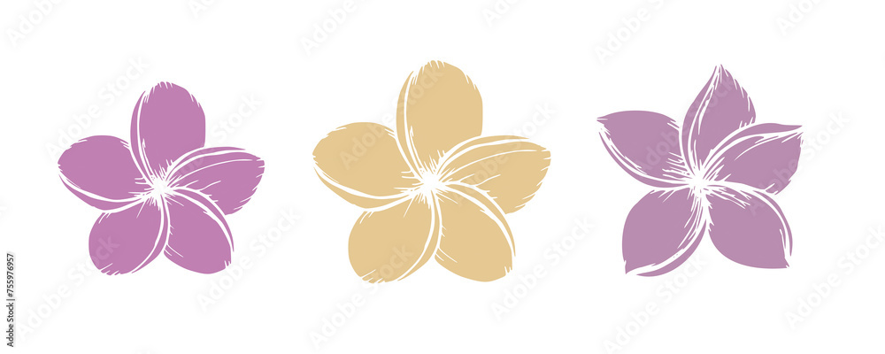 Obraz premium Tropical silhouette of vector plumeria flowers illustration on isolated background. Beautiful botanical hand painted exotic frangipani. For designers, spa decoration, postcards, wedding, gre