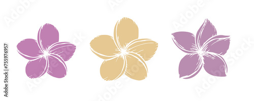 Tropical silhouette of vector plumeria flowers illustration on isolated background. Beautiful botanical hand painted exotic frangipani. For designers, spa decoration, postcards, wedding, gre