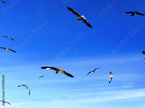 Photography Auf der Ostsee vor Stockholm