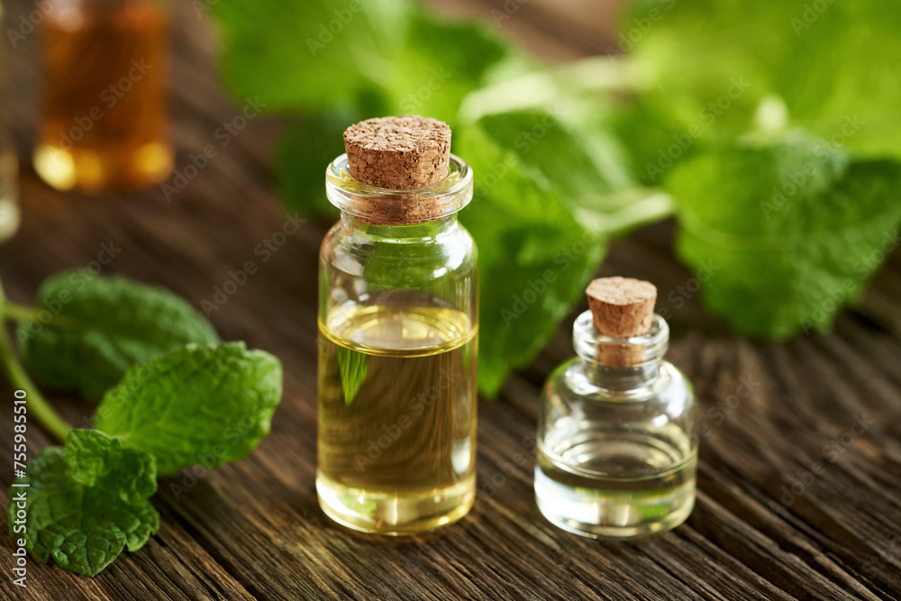 Two bottles of essential oil with fresh green peppermint leaves on a table