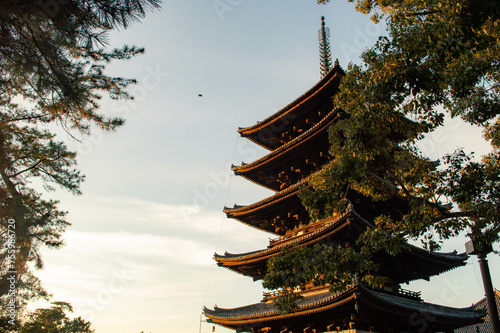 Canvas Print Pagode du Kofuku-ji de Nara, Kansai, Japon