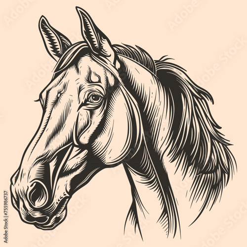 Fototapeta Naklejka Na Ścianę i Meble -  Black and White Horse Outline Silhouette Ornament Vector Art for Logo and Icon, Sketch, Tattoo, Clip Art